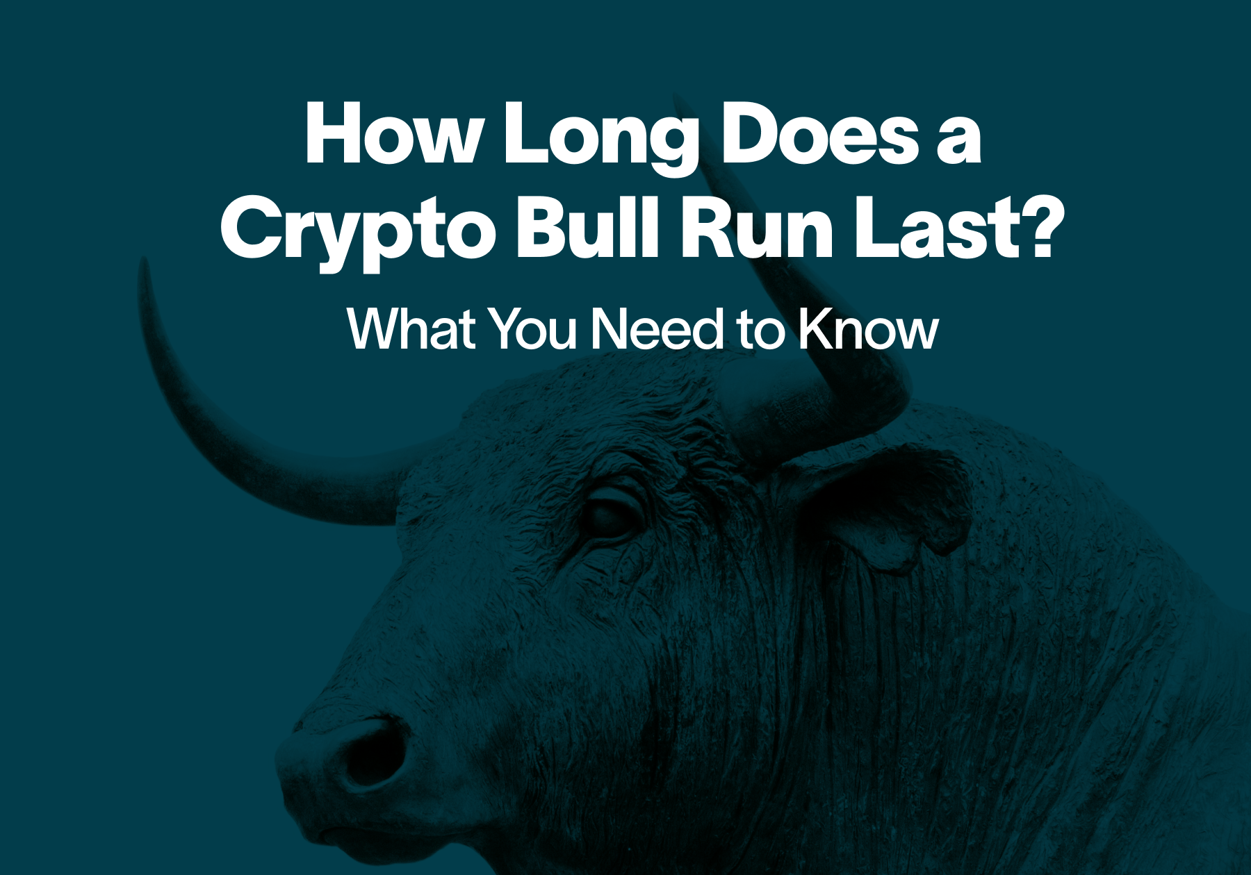 wann krypto bullrun